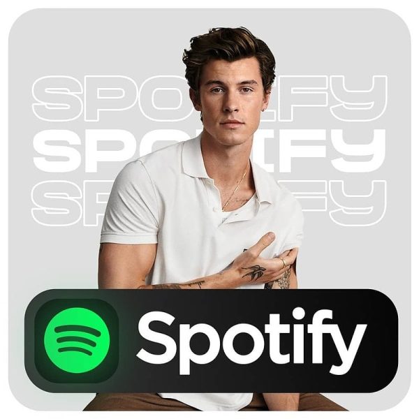 Discounted Spotify Premium on Topsify shop!